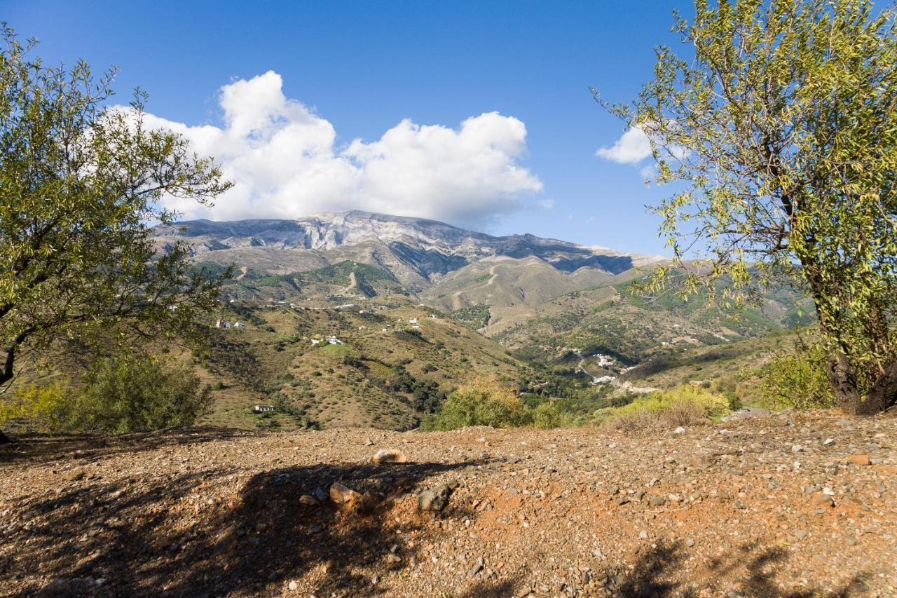 Cómpeta Bed&Breakfast Al Campanario المظهر الخارجي الصورة